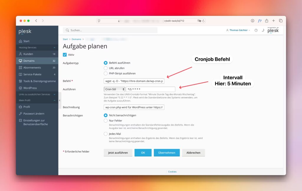 Einrichtung Cronjob in Plesk